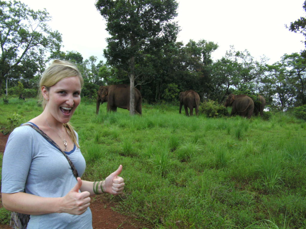 A visit to the EVP gives you a chance to see elephants in their natural environment