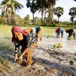 Cambodia