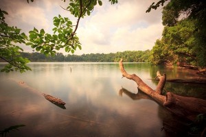  Go sightseeing in Yeak Laom Lake is really worthy.