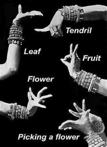 Hand gestures indicates the meaning of various things