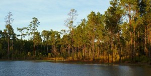  Kirirom National Park