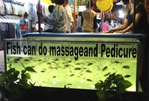 Many tourists prefer to sit and immerse foot in lake to be massaged by fishes