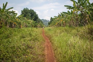  Trekking tour
