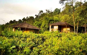 The Jasmine Valley Trail where Kep Butterfly Farm located