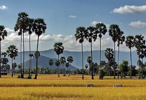The rural life in Takeo Province