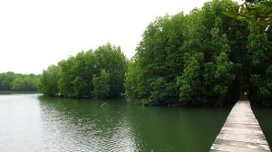 Peam Krasop Wildlife Sanctuary