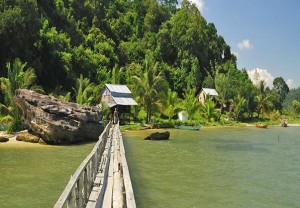 Located inside Ream National Park, Koh Thmei is home to monkeys, civets, lizards, more than 100 different species of birds and several threatened species