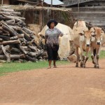 Farmer in Cambodia