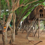 Peaceful life on Silk Island