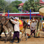 Royal Plowing Ceremony-an ancient rite marking the beginning of the rice growing season