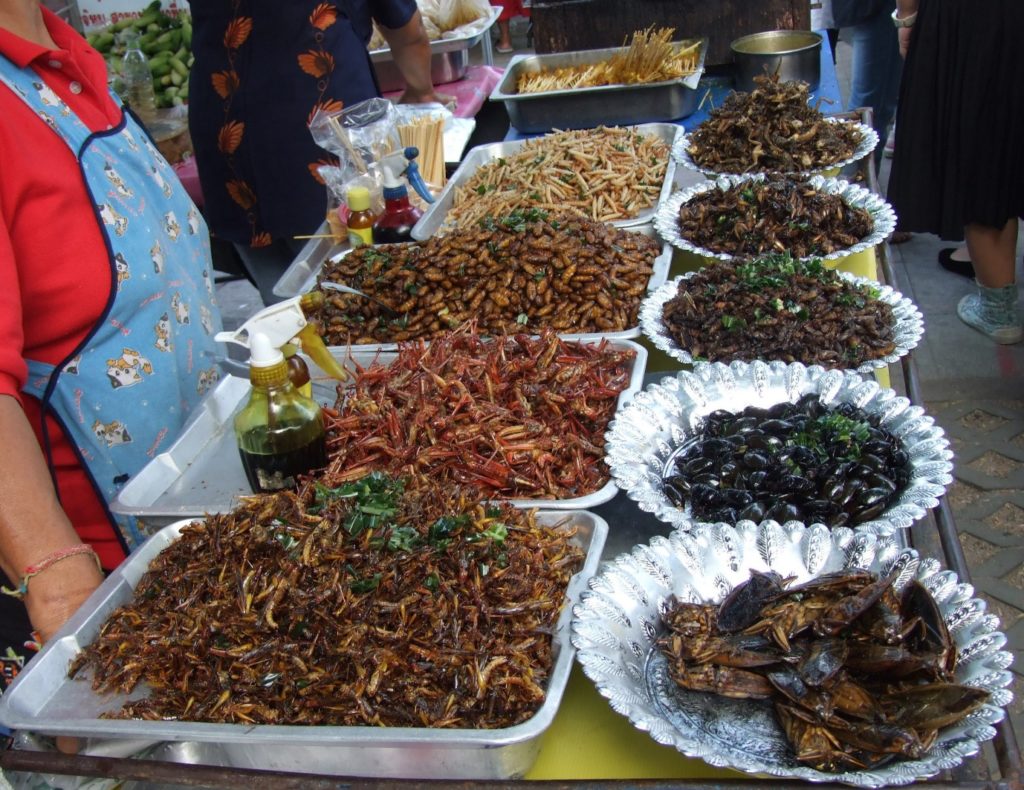 Food from insects