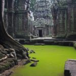 Ta Prohm Temple